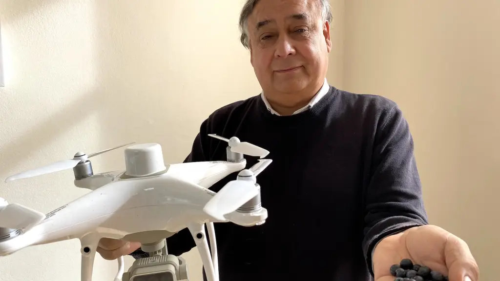 Dr. Christian Aguilera y proyecto para optimizar la producción de arándanos.