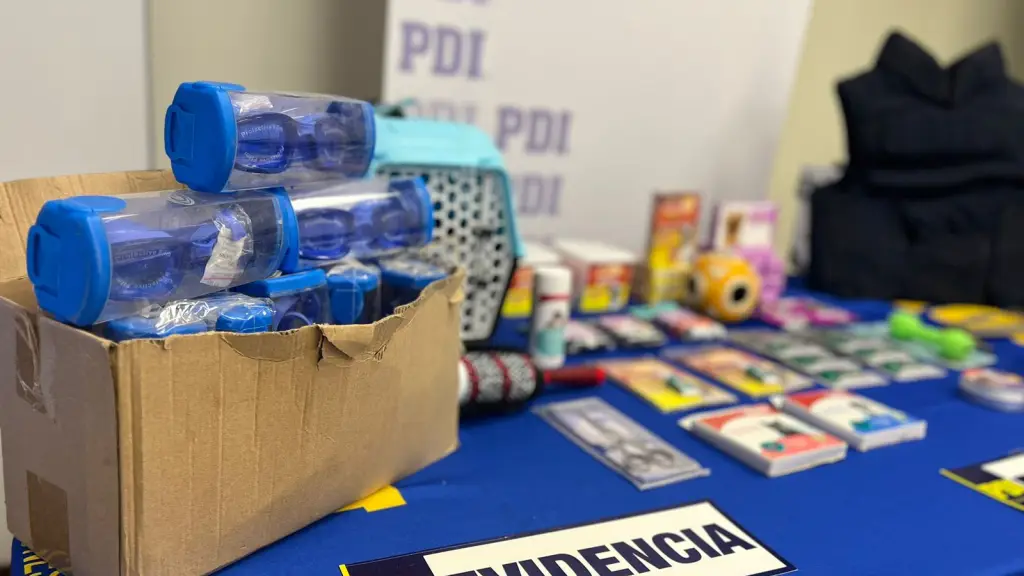 Las especies incautadas fueron avaluadas en alrededor de 10 millones de pesos, PDI