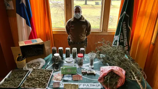  Arrestan a hombre que mantenía más de mil dosis de marihuana en Antuco