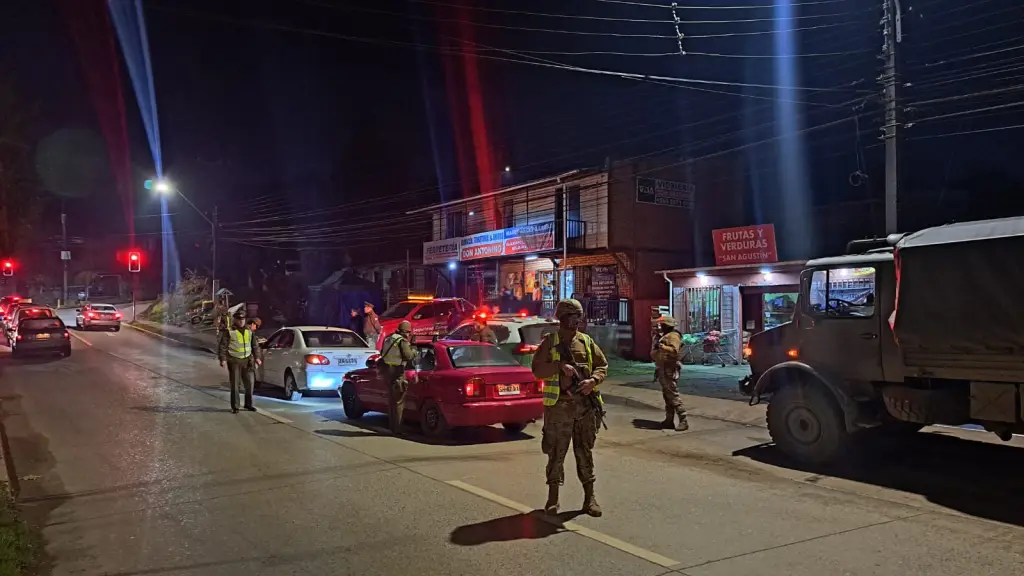 Las fiscalizaciones por parte de Carabineros se efectuaron durante el fin de semana en Mulchén y Yumbel., Cedida