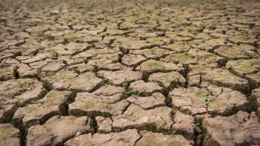 Sistema frontal llegará a Biobío en medio de un persistente déficit de precipitaciones