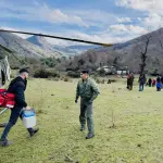 El helicóptero de Carabineros llegó hasta ese apartado sector de la provincia de Biobío., Cedida