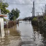 “No podemos salir de las casas”: Vecinos de sector Tolpán piden ayuda para proveerse de elementos básicos 