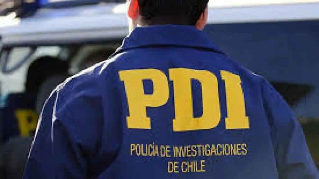 El autor confeso del crimen fue detenido por la PDI en la ciudad de Santiago, PDI