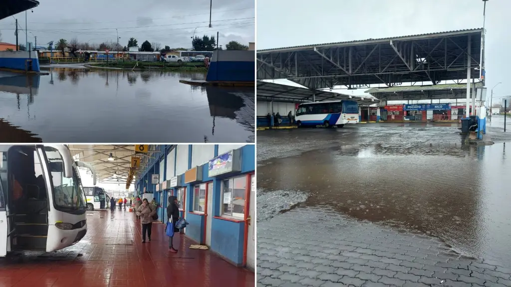 Detallan cambios en horarios y rutas de buses rurales que salen desde Los Ángeles, La Tribuna