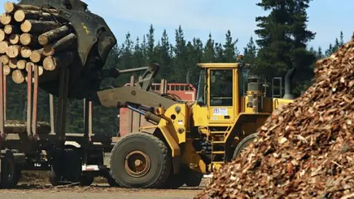 Presentan programa Más Talento para atraer a jóvenes a la industria forestal