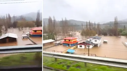 VIDEO | Totalmente inundado: Así se encuentra sector Nicodahue en Nacimiento tras las recientes lluvias