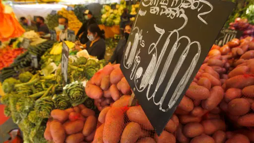 Producción hortícola soporta bien sistema frontal, pero humedad generaría problemas