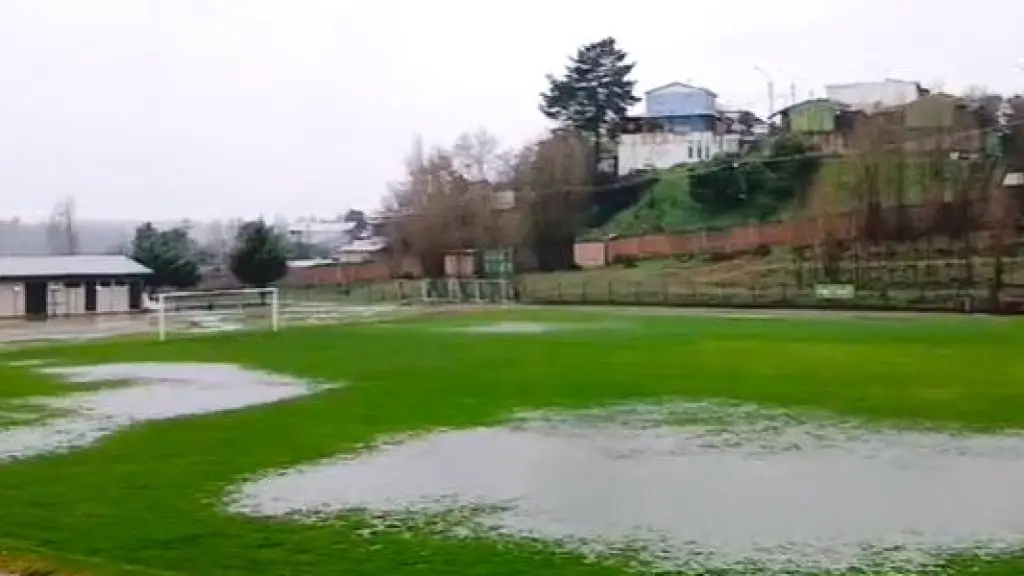 Así está la cancha del Facela de Laja, La Tribuna