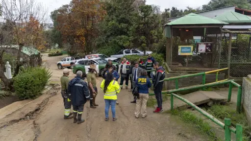 Investigan brutal ataque a más de 20 animales en Zoológico de Quilpué