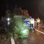 Auto chocó contra un árbol, Foto: Cuerpo de Bomberos Los Ángeles 