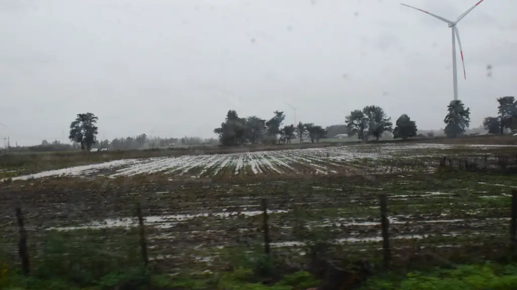 En cultivos de temporada como achicoria industrial, remolacha y maíz, sus productores se han visto impedidos de realizar labores de temporada debido a las lluvias.