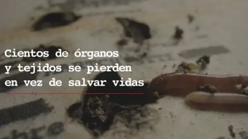 Destacan cuestionada campaña por la donación de órganos