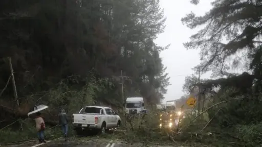 Ruta de la Madera se mantiene con tránsito irregular por sistemas frontales