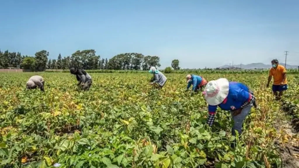 Es fundamental apoyar iniciativas que puedan fortalecer la seguridad alimentaria, aumentando la productividad, reduciendo la dependencia de importaciones y fomentando prácticas agrícolas sostenibles.