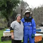 Matrimonio de apicultores de Polcura en Tucapel, Diario La Tribuna