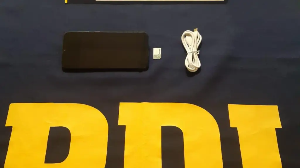 Especies incautadas por la PDI, PDI