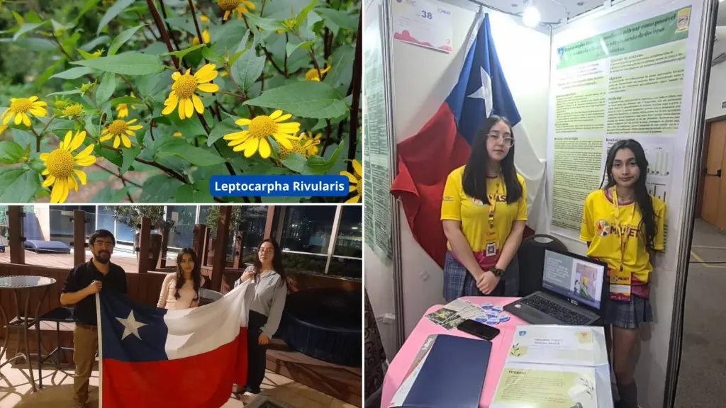 Dos alumnas del Colegio San Diego de Alcalá de Huépil viajaron hasta Brasil para presentar su proyecto de Medicina Ancestral , Cedida