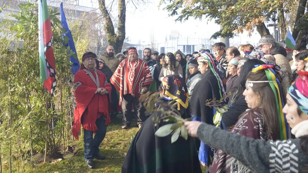 Año nuevo mapuche (contexto), Archivo La Tribuna
