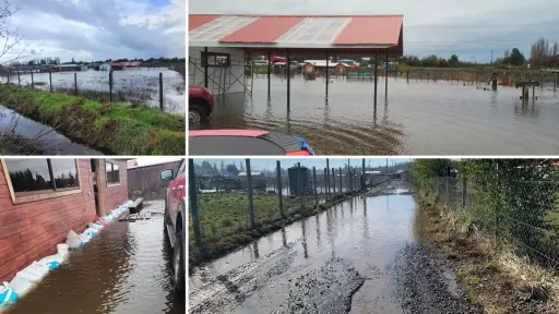 Casas semi-aisladas y sin agua potable: El drama de sector San Gabriel por inundaciones 