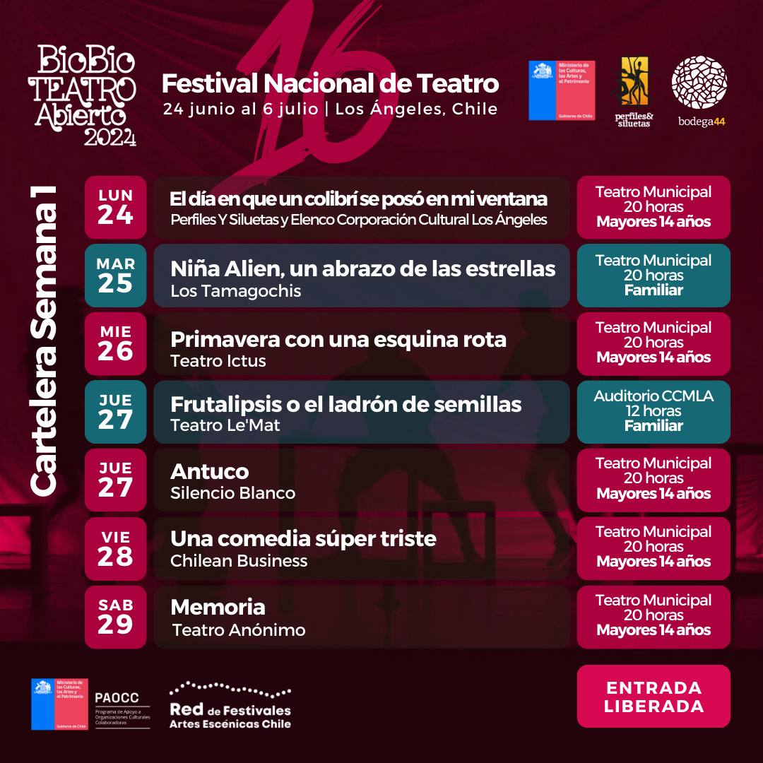 Festival Biobío Teatro Abierto: Desde hoy dos semanas de arte y cultura en Los Ángeles / Cedida
