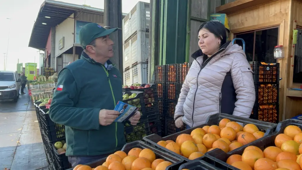 La mosca de  la fruta puede producir pérdidas de entre 10% a 60% de las cosechas agrícolas.