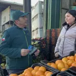 La mosca de  la fruta puede producir pérdidas de entre 10% a 60% de las cosechas agrícolas.