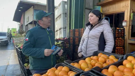 SAG Biobío realiza campaña informativa para evitar el ingreso de mosca de la fruta