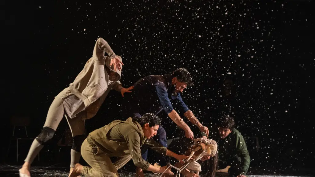 Perfiles y Siluetas, cedida