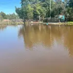 Casa en sector Rarinco Inundada 1, Cedida 