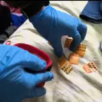 Las diligencias fueron realizadas en el sector sur de la ciudad de Los Ángeles, Cedida