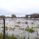 Campos en sector Tolpán en Los Ángeles siguen inundados por el paso de las lluvias