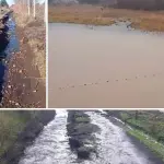 Madre y sus dos hijos caminan tres kilómetros “con los pies mojados” para ir a la posta en Quilleco