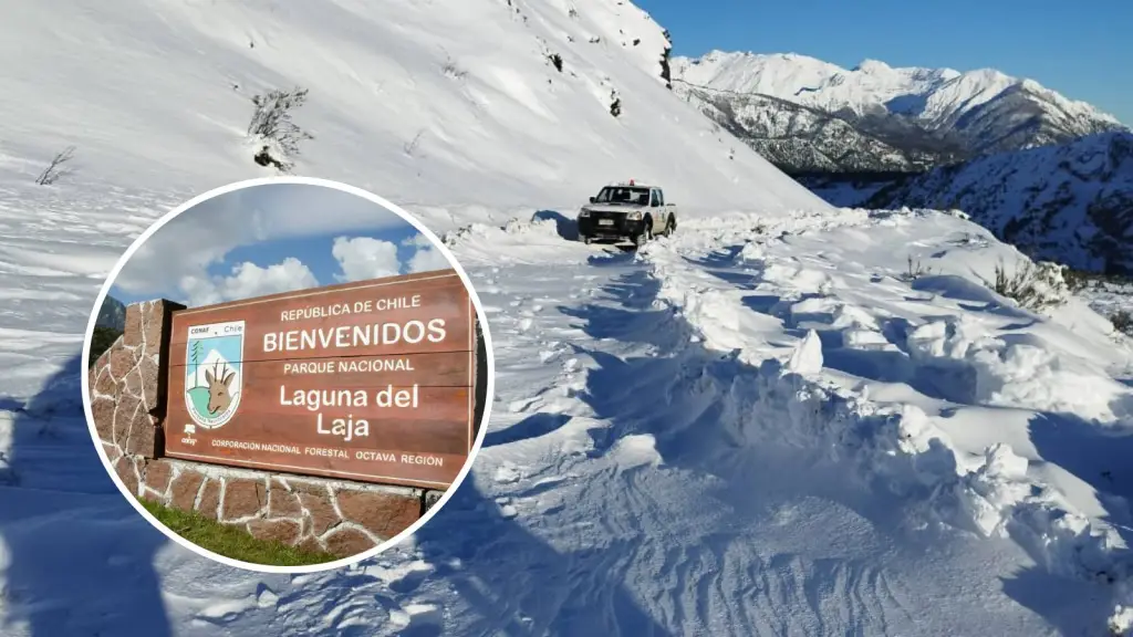 Llaman a no asistir al Parque Nacional Laguna del Laja este fin de semana si no se cuenta con entradas, Cedida
