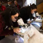 Campaña medidas sanitarias vacaciones de invierno.