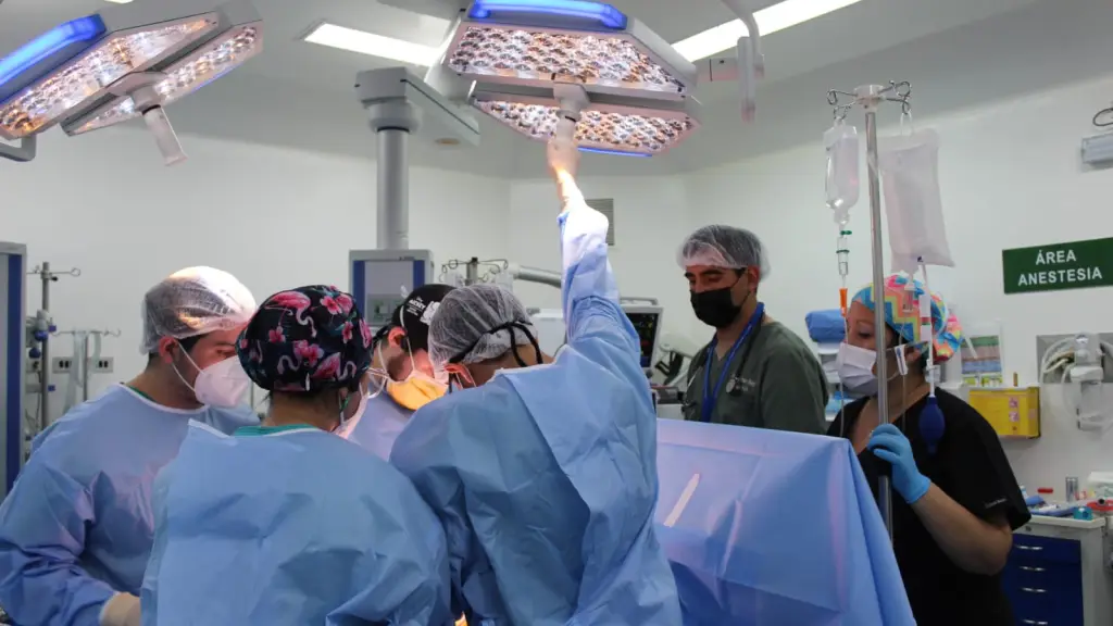 En el Hospital Base de Los Angeles se llevó a cabo el segundo procuramiento de órganos del 2024, Cedida