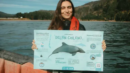 Parque Museo Pedro del Río Zañartu celebrá el Día Mundial de las Ballenas y Delfines