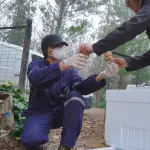 Análisis de agua , Seguridad hídrica 