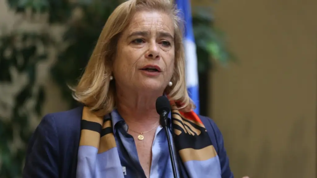 Flor Weisse, diputada de la UDI y miembro de la comisión de Economía de la Cámara, Cedida