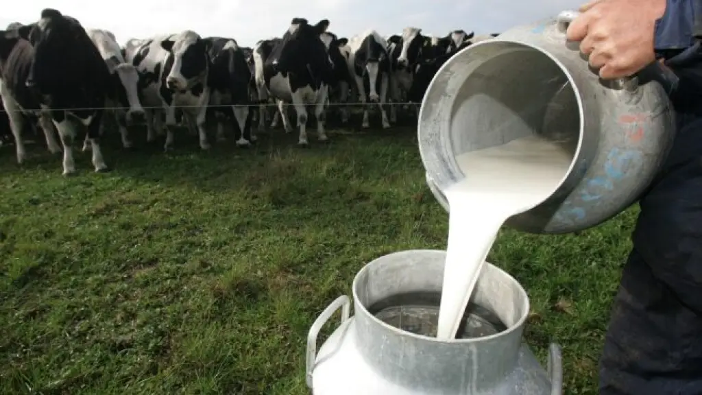 La producción de leche es parte fundamental de la economía de muchas regiones de Chile, donde su aporte ha permitido el desarrollo de toda una industria agropecuaria-alimentaria.