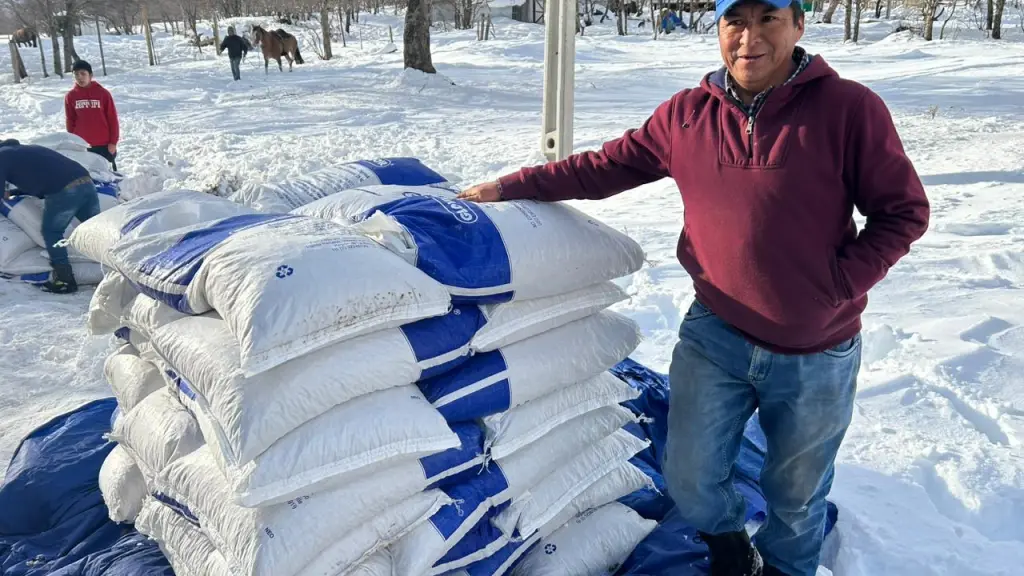 Ganadero de Alto Biobío apoyado posterior a los sistemas frontales.