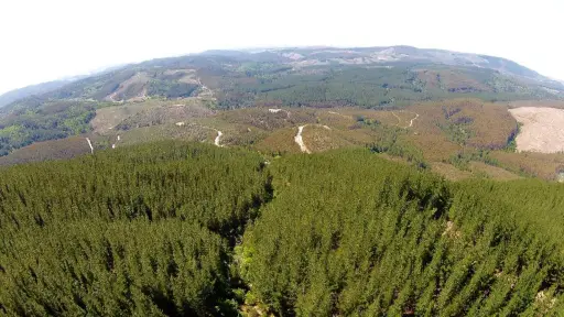 Asamblea de Corma analizó desafíos y oportunidades para el sector forestal 