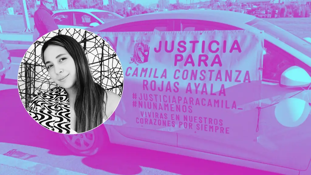 El imputado por el crimen de Camila Rojas mantenía una causa penal por hurto y medidas cautelares vigentes por abuso sexual., Redes sociales 