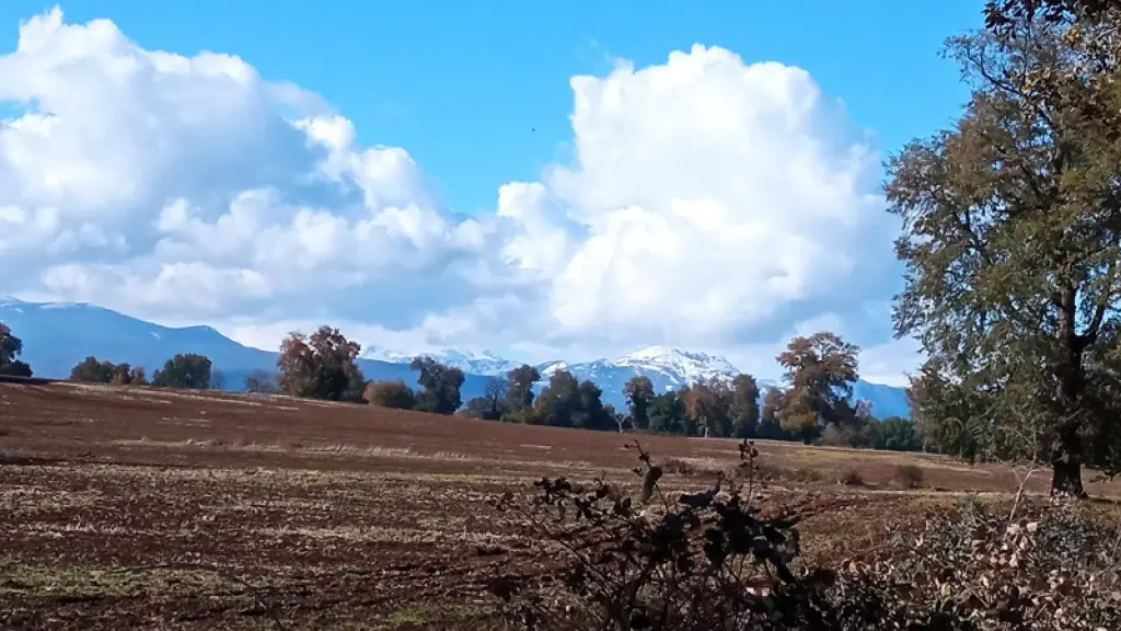 Sector agrícola, Fredy Muñoz, Archivo - La Tribuna