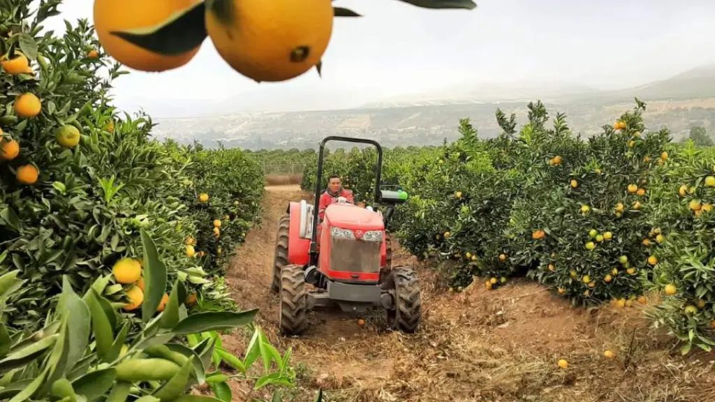 Las tecnologías disponibles en la actualidad permiten a los agricultores adaptarse mejor a las condiciones traídas por el cambio climático.