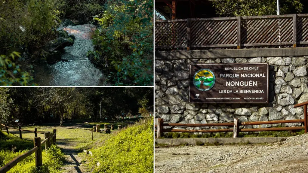 Anuncian que Parque Nacional Nonguén reabre sus puertas al público , Cedida