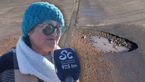 Vecina denuncia problemas de locomoción en sector La Perla: buses no pasan porque hay muchos hoyos y socavones