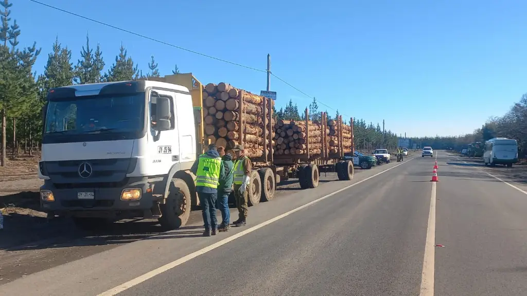 La fiscalización se realizó a la altura del kilómetro 28 de la Ruta Q-45, en el sector de Las Canteras., Cedida