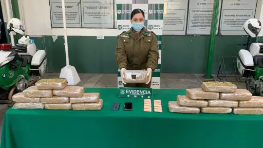 Desarticulan organización criminal que internaba droga desde Calama hacia la Región del Biobío 