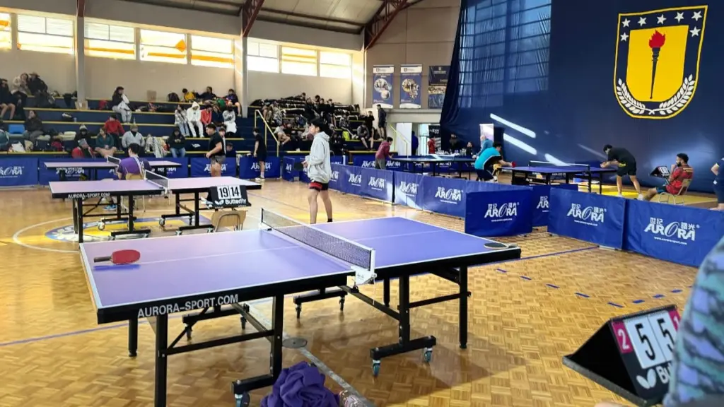 En dependencias del gimnasio de la Universidad de Concepción Campus Los Ángeles, se vivió el Segundo Open Topspin Chile, La Tribuna